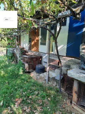 Plot Bela voda, Pernik