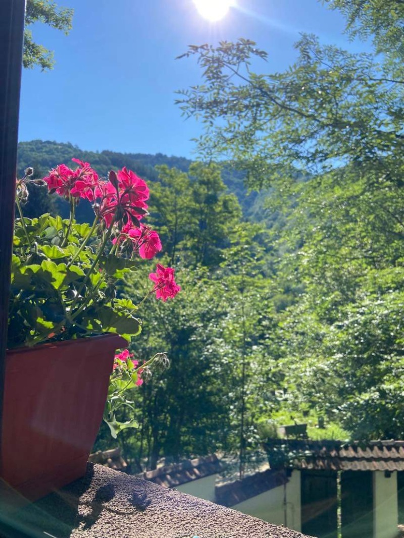 For Sale  House region Lovech , Troyan , 112 sq.m | 71551535 - image [3]
