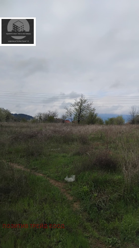 Plot Byal kamak, Kyustendil